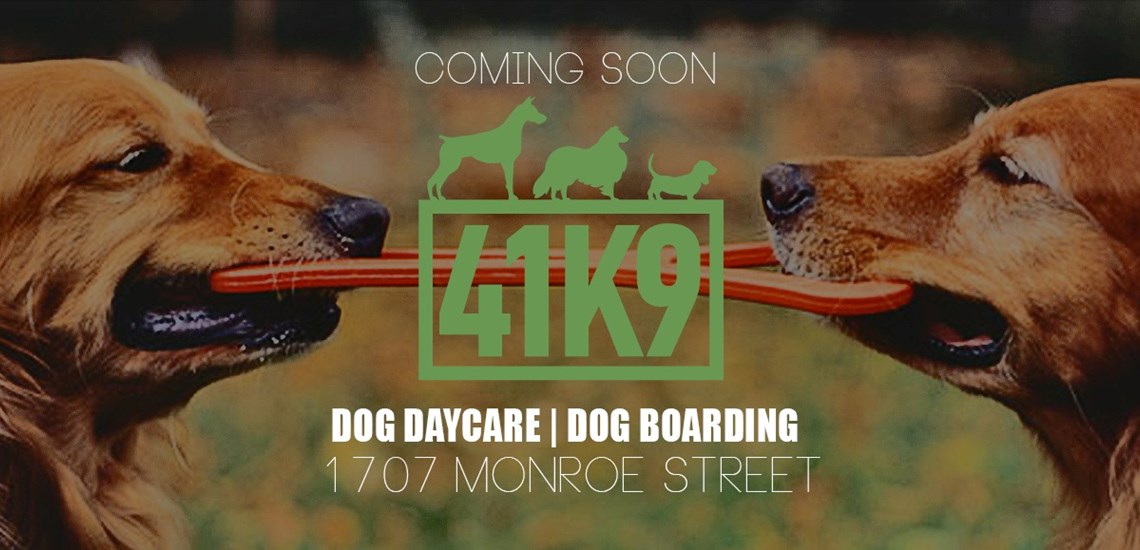 41K9 Brings Dog Daycare and Boarding to Downtown