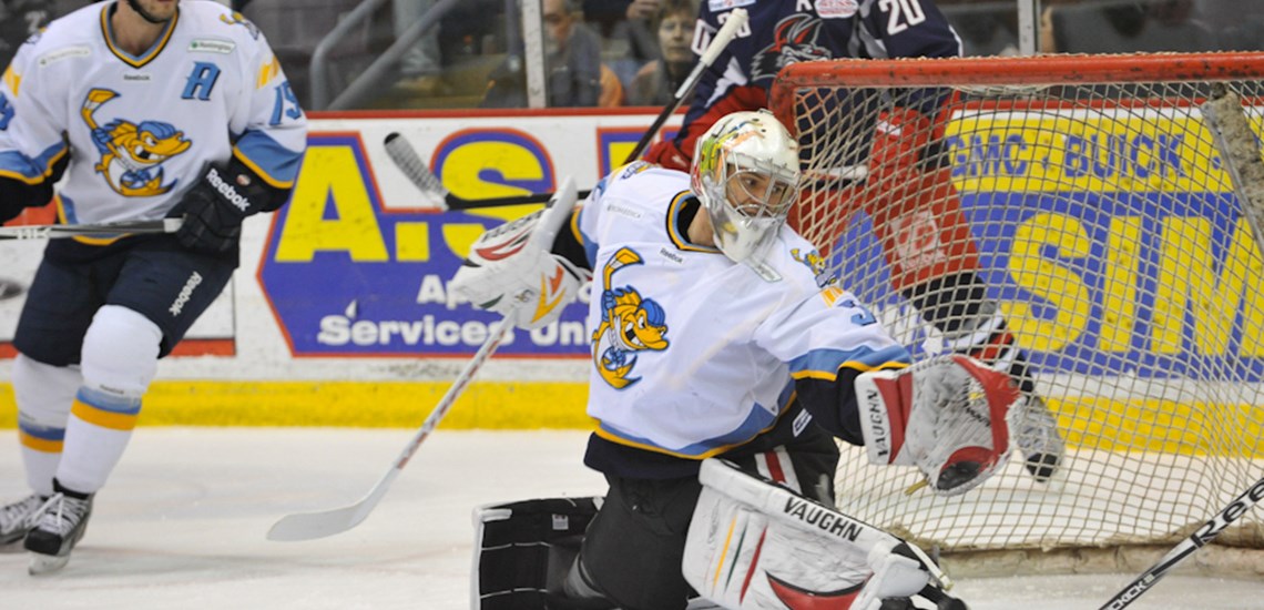 Walleye Hockey